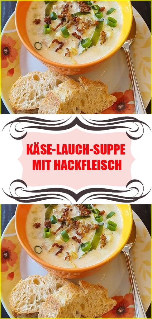 Käse Lauch Suppe mit Hackfleisch Einfache Rezepte