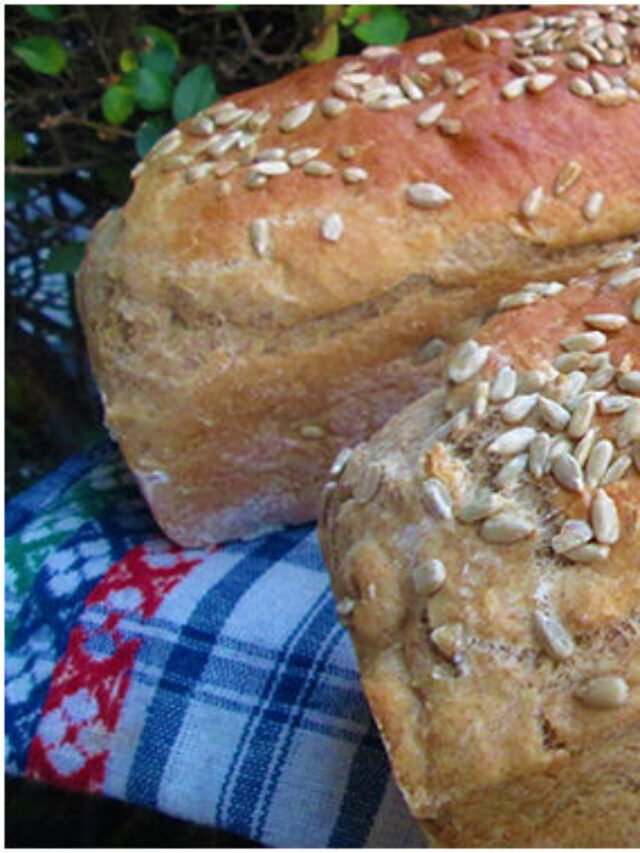 Das einfachste Brot der Welt Krustenbrot wie vom Bäcker gelingsicher