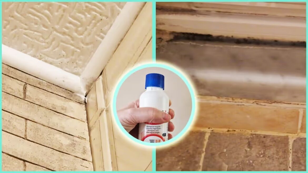 So verwenden Sie Wasserstoffperoxid, um Schimmel zu Hause abzutöten: einfache und effektive Tipps!
