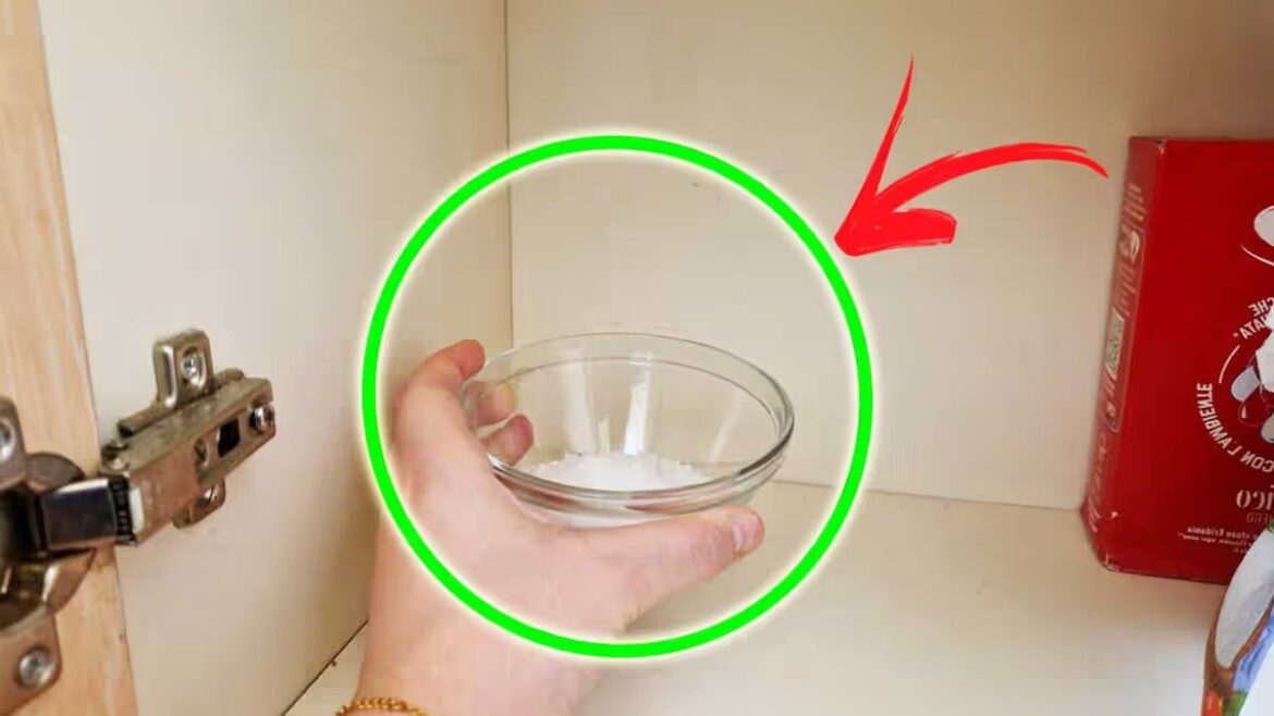 Wie schützt man Holzmöbel vor Feuchtigkeit – praktische Lösungen gegen Feuchtigkeit